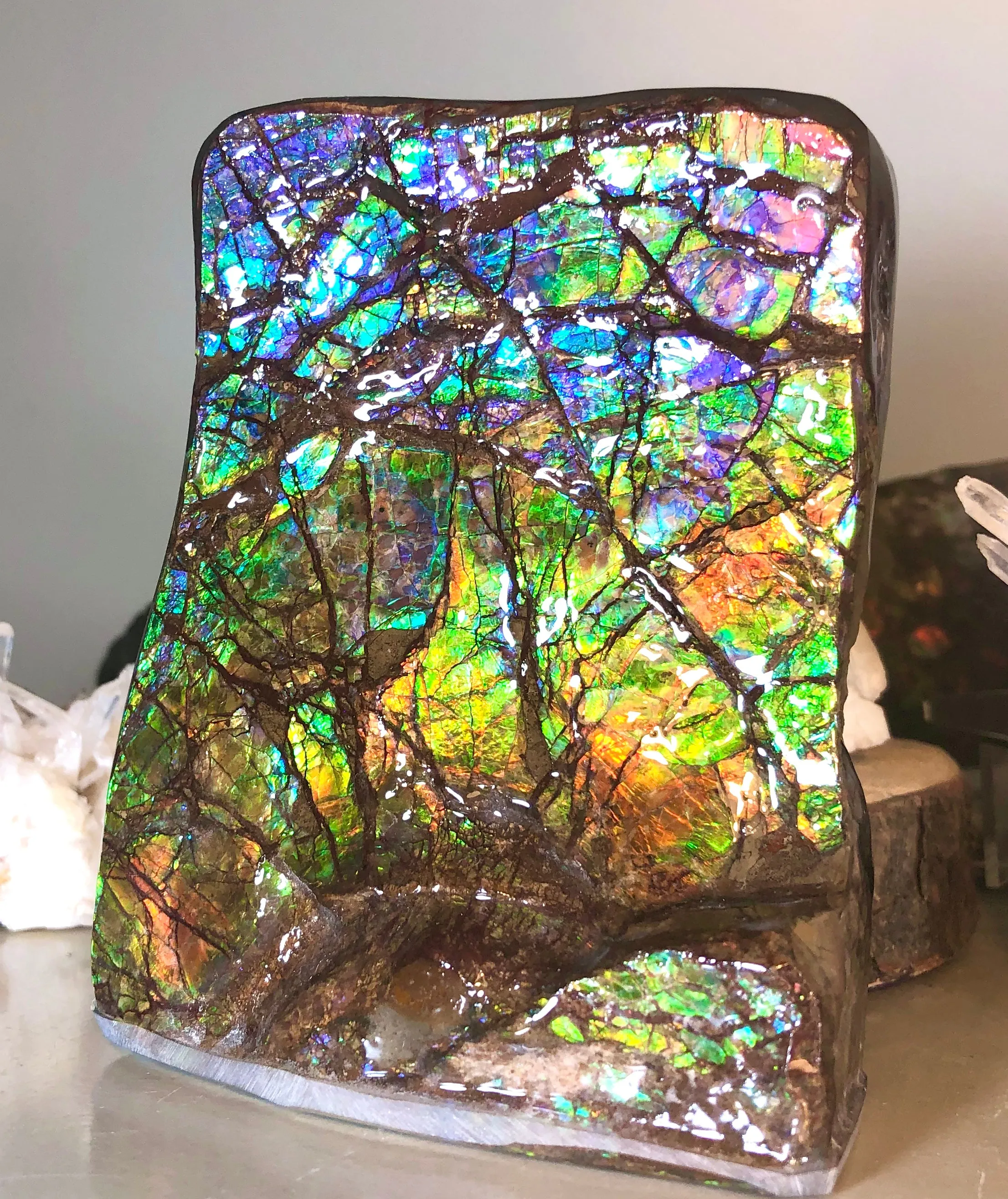 RARE  Ammolite Huge Display Stone Hand Specimen 150x100x41mm Rainbow Colors Dragon Skin Pattern Hints of Pink Collector GemstoneCS-205  アンモライト　コレクターストーン