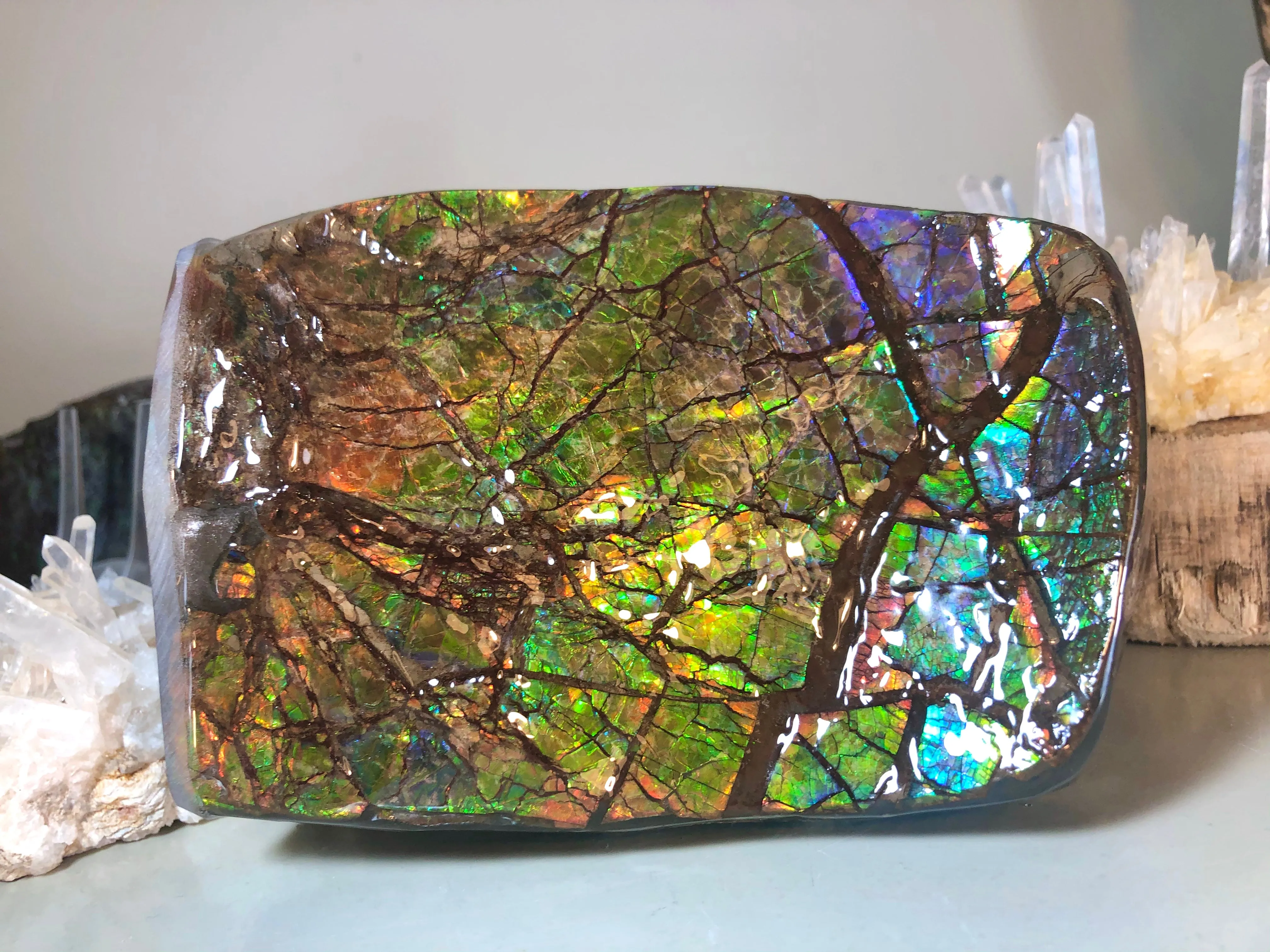 RARE  Ammolite Huge Display Stone Hand Specimen 155x95x36mm Rainbow Colors Dragon Skin Pattern  Collector GemstoneCS-206  アンモライト　コレクターストーン