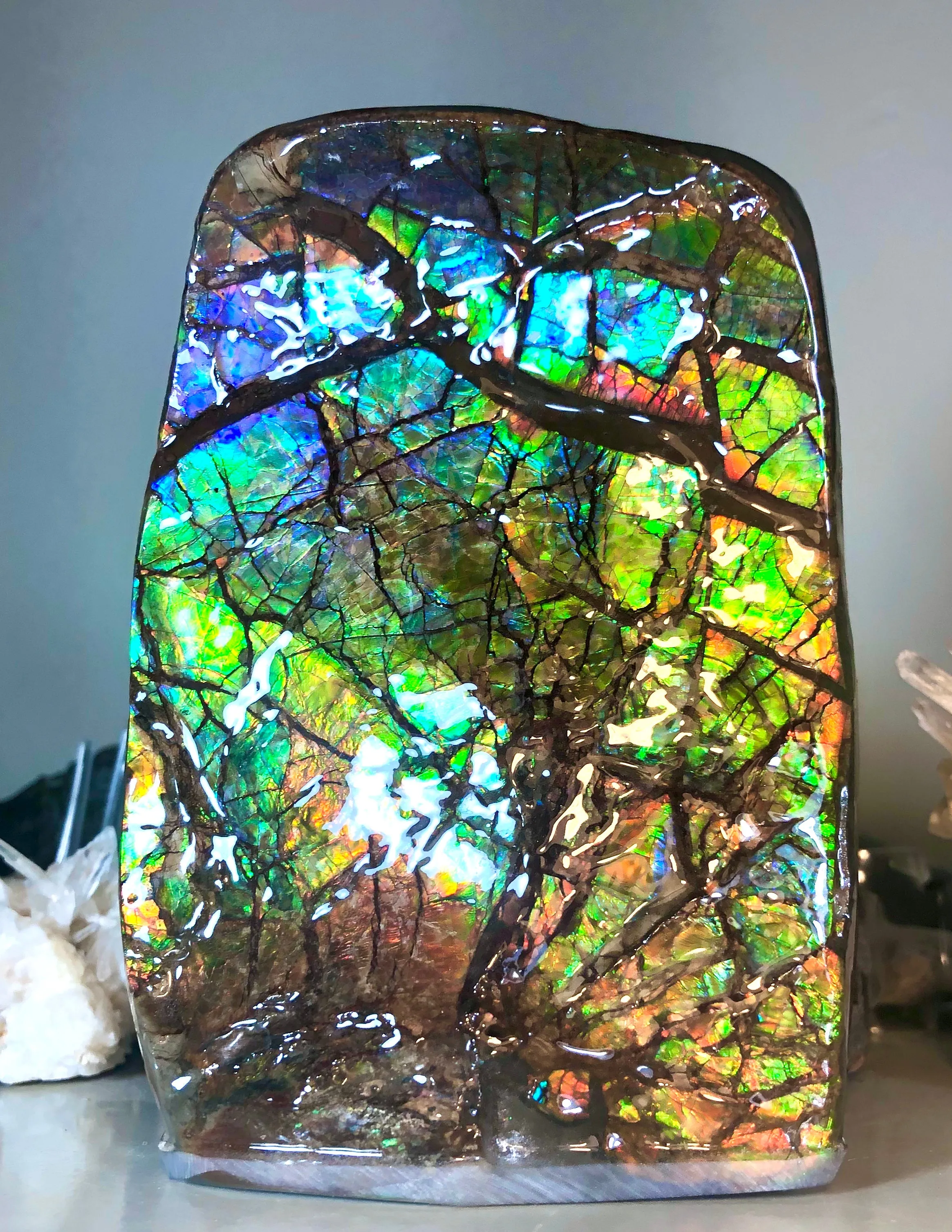 RARE  Ammolite Huge Display Stone Hand Specimen 155x95x36mm Rainbow Colors Dragon Skin Pattern  Collector GemstoneCS-206  アンモライト　コレクターストーン