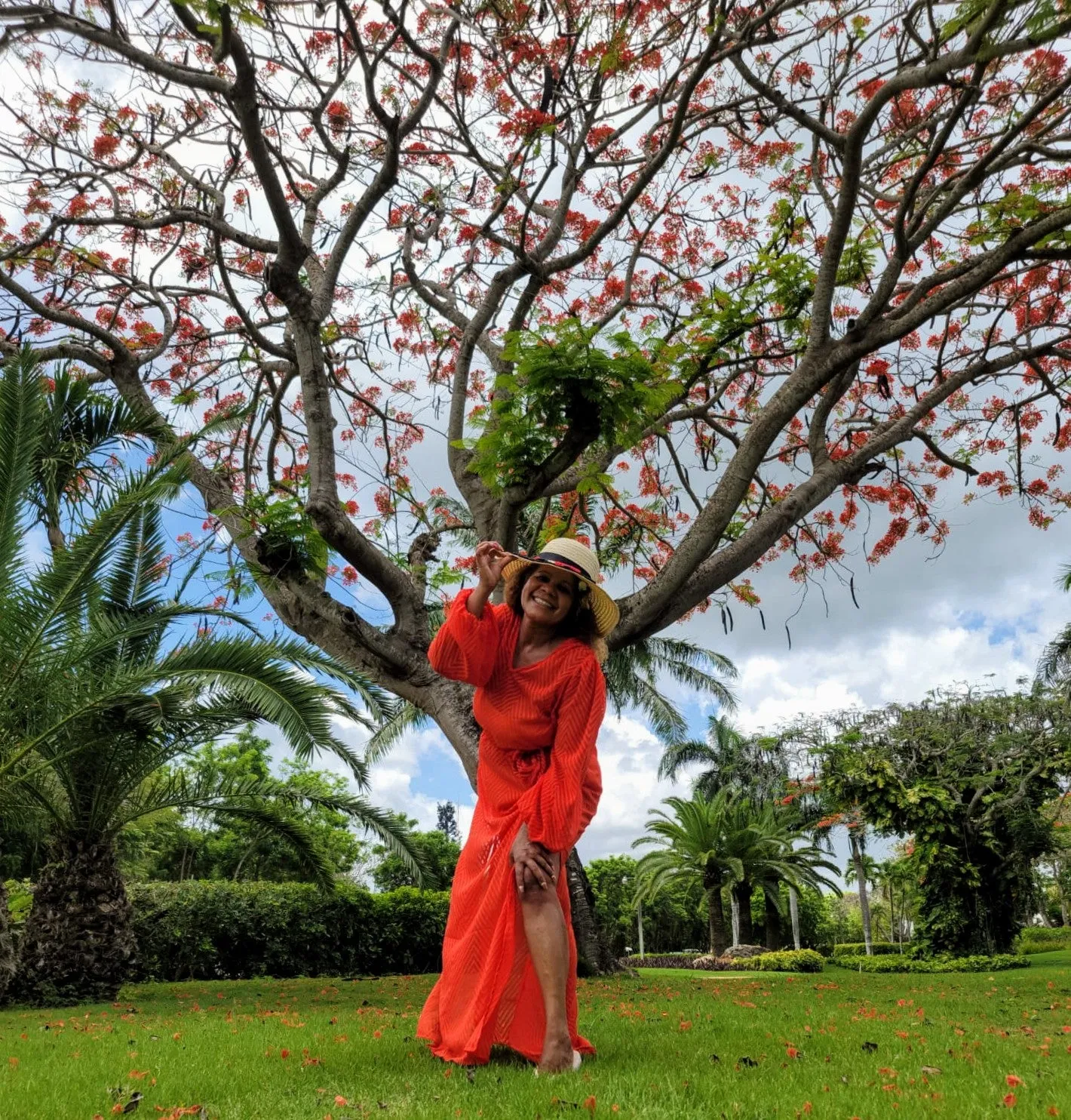 Red Carpet Ready Maxi Dress Cover Up
