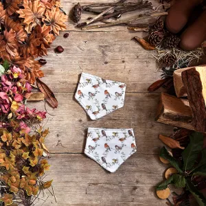 Robins Dribble Bib