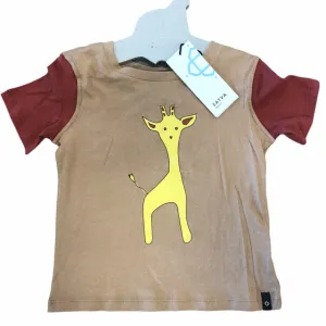 Satva Organic Cotton Short Sleeves Colorblock Tee (4T)