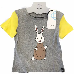 Satva Organic Cotton Short Sleeves Colorblock Tee - Heather Grey (4T)