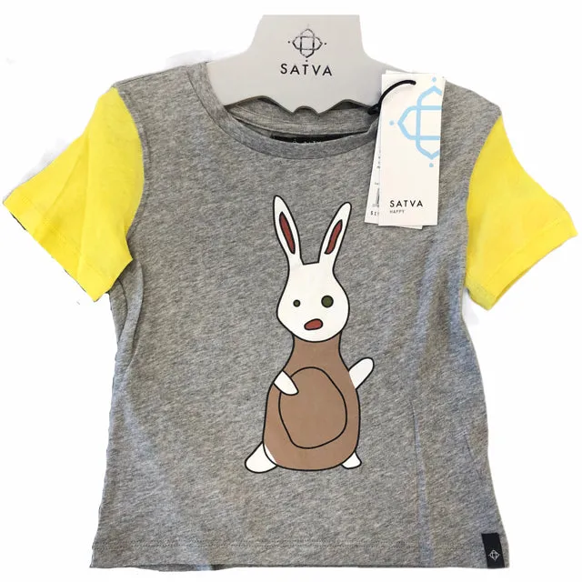 Satva Organic Cotton Short Sleeves Colorblock Tee - Heather Grey (4T)