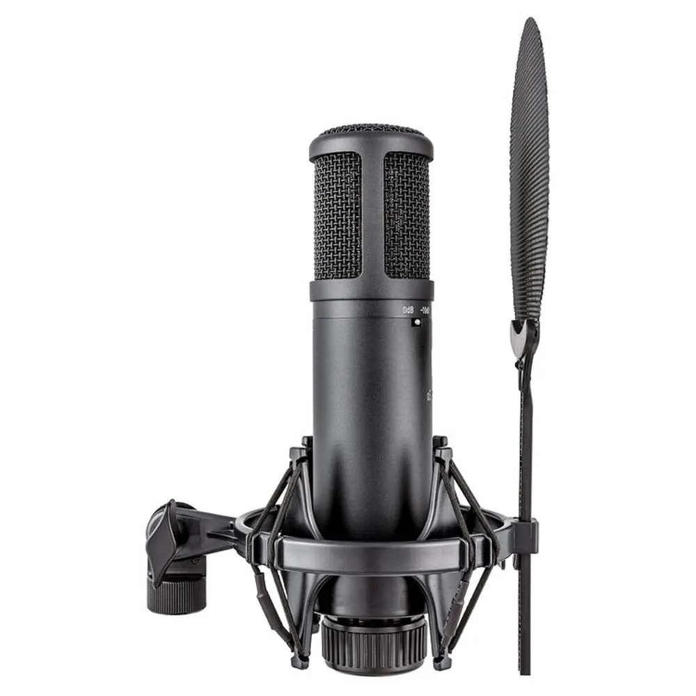 sE Electronics sE2200 Large Diaphragm Condenser Microphone