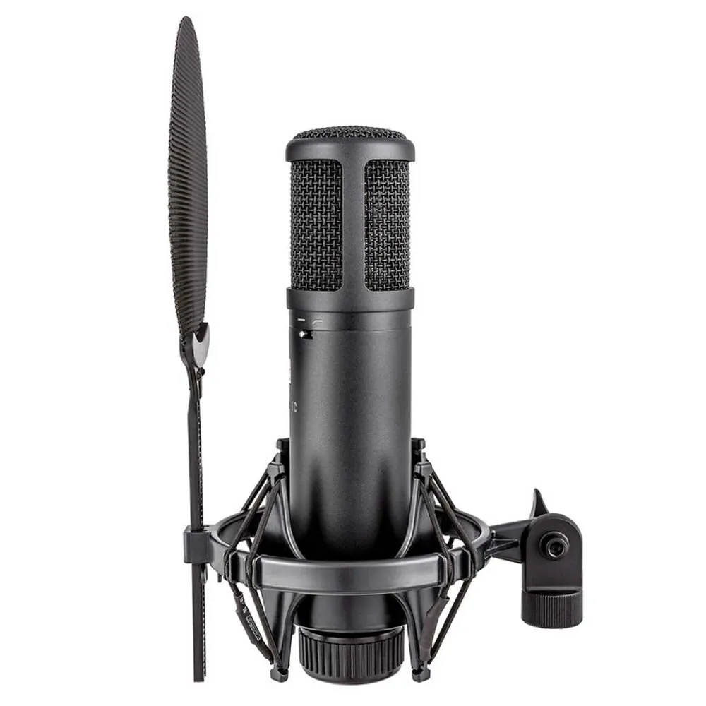 sE Electronics sE2200 Large Diaphragm Condenser Microphone
