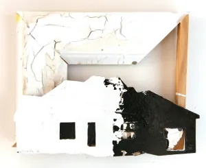 Steven Nocella: House Construction 6