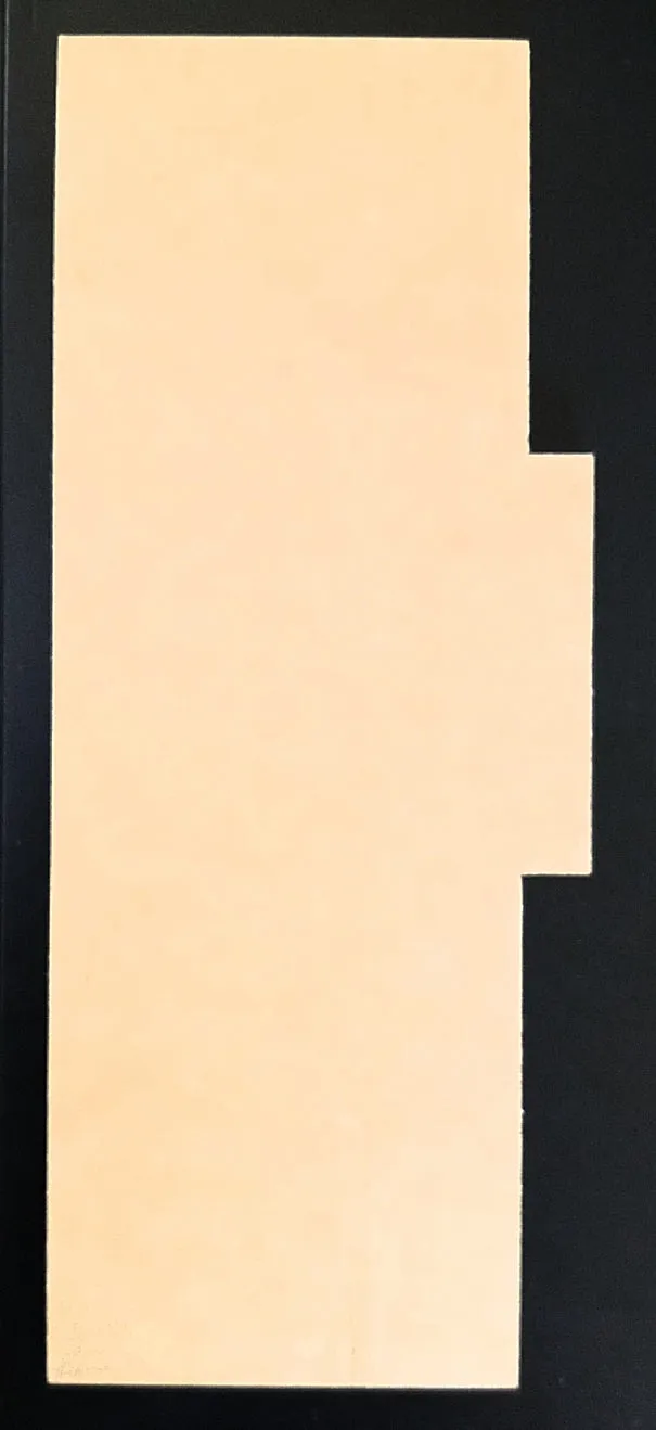 TALL FAULT LINE SCRAPER/ICING COMB (10*4")