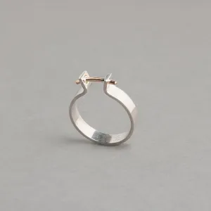 TAURUS RING