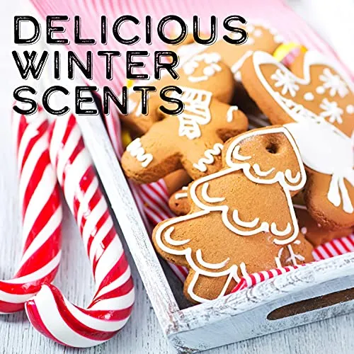 Wax & Wit Christmas Decor - Candy Cane Candle - Sugar Cookie Candle - Candle Gift Set - Christmas Candles 9oz (2 Pack)