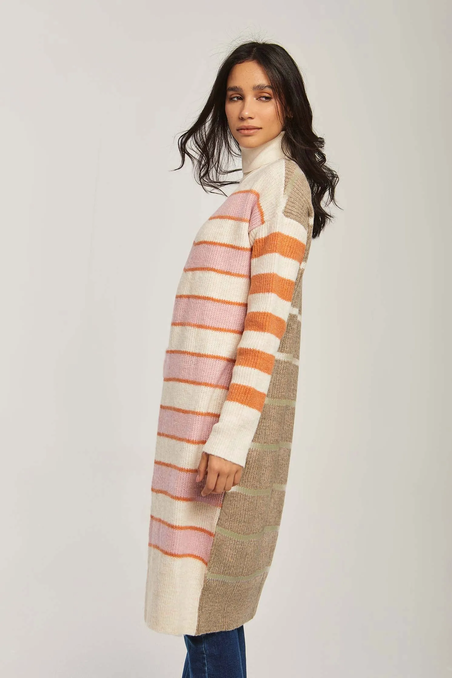 Women Dress Basic Checks Shirt Multicolor